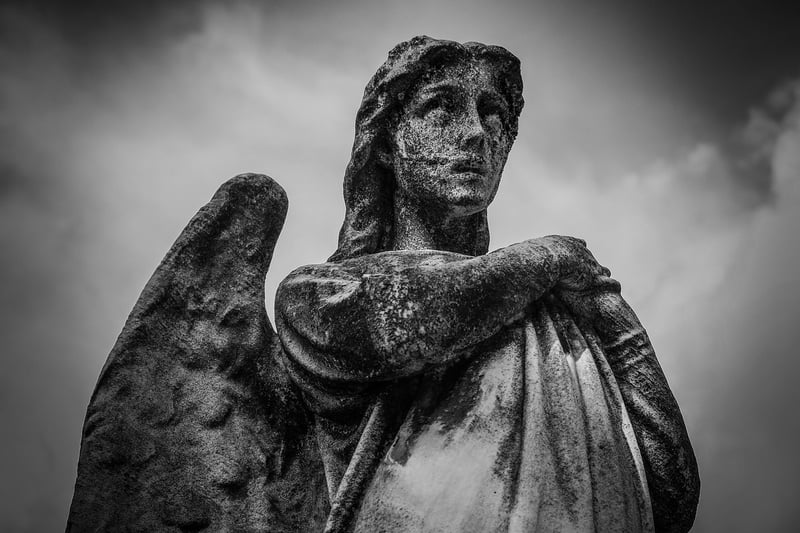 Angel Investor